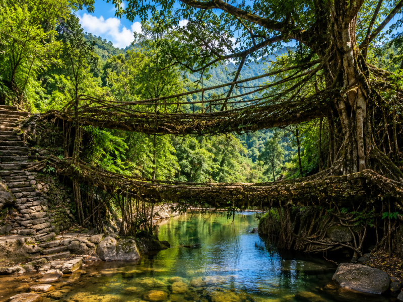 Meghalaya: Explore the Abode of Clouds